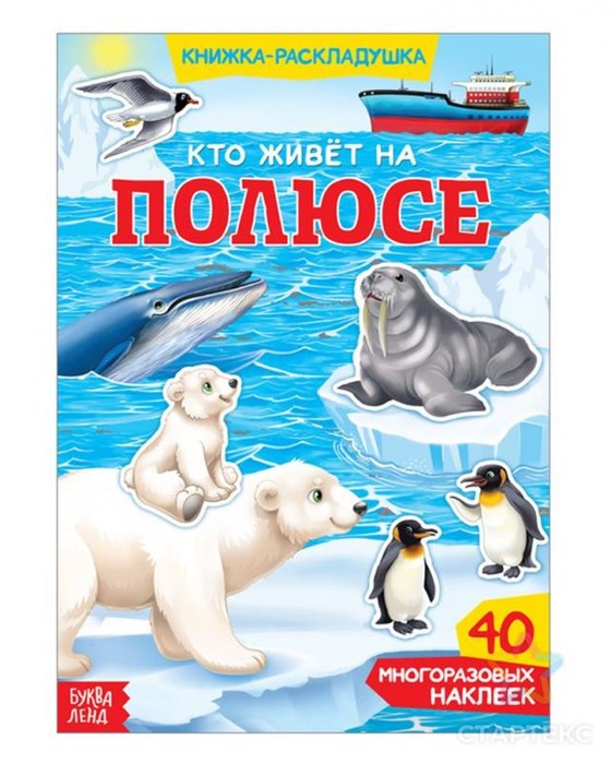 Книжка - раскладушка с многоразовыми наклейками "Кто живёт на полюсе" 3789698 - фото 23820