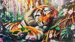Пазлы 2000 "Спящий тигр" ХП2000-2863