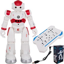 Робот на радиоуправлении ZYA-A2976 Робо-друг, дистанц. и сенсор. упр., русск. озвуч., в кор. ZY1223832