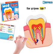 ЭВРИКИ Набор для опытов 