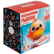 Набор для опытов. Молекулярная рыбалка НДО-004 Фин-ти-Флю НДО-004