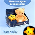 Мягкая игрушка с ночником «Мишка» 7743593 - фото 21483