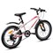Велосипед 20" Rocket Crux 1.0 , цвет розовый, размер 11" 20SV.CRUX1.11PK.26
