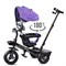 Велосипед 3-х колесный, фиолетовый UT-208-3