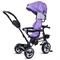 Велосипед 3-х колесный, фиолетовый UT-6166FP-2
