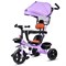 Велосипед 3-х колесный, сиреневый UT-611-2