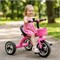 Велосипед 3-х колесный, розовый UT-XEL-002-3